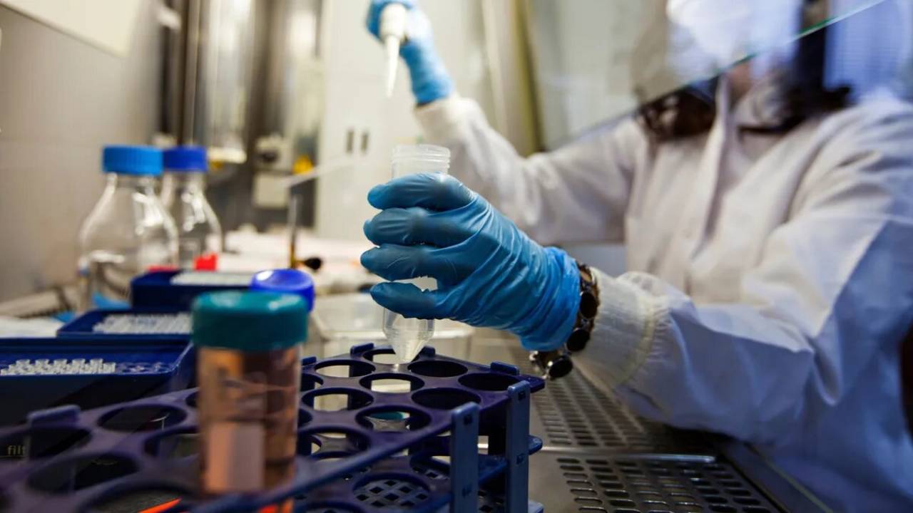 Martillos moleculares: Nuevo tratamiento elimina al 99% de células cancerosas en laboratorio