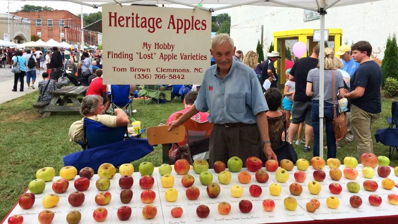 Un ingeniero químico jubilado salvó de la extinción más de 1,200 variedades de manzanas perdidas