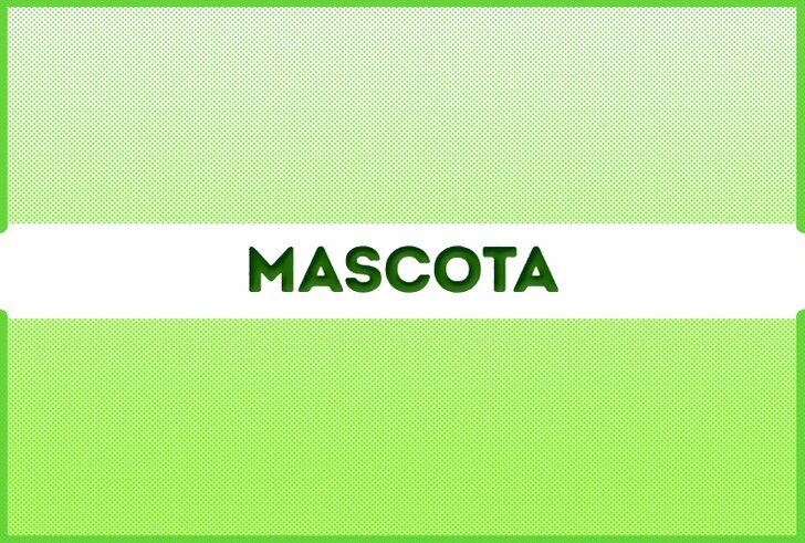 RETO AVANZADO: Descubre las 5 palabras lo más rápido que puedas