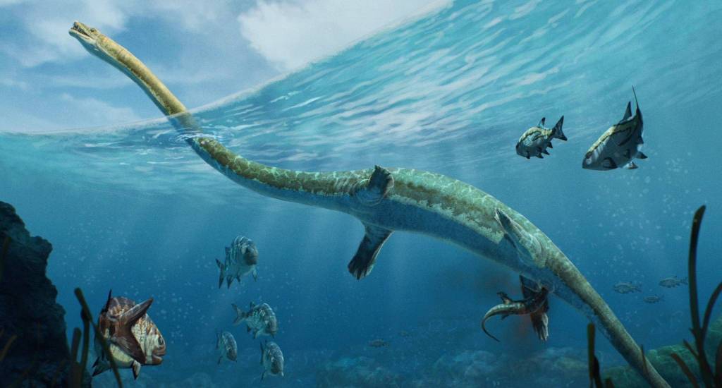 Espectacular fósil de un dinosaurio “dragón” de 240 millones de años es descubierto en China