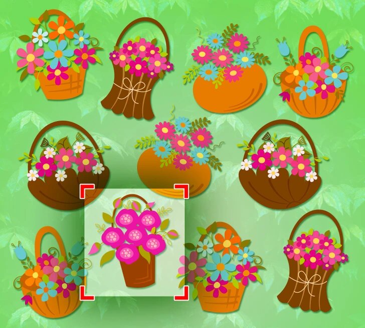 RETO: Desafía tu vista y encuentra el elemento que no tiene par ¡En menos de 10 segundos!