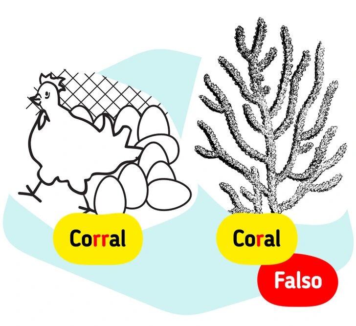 RETO: Desafía tu ortografía con estos 8 retos ortográficos 