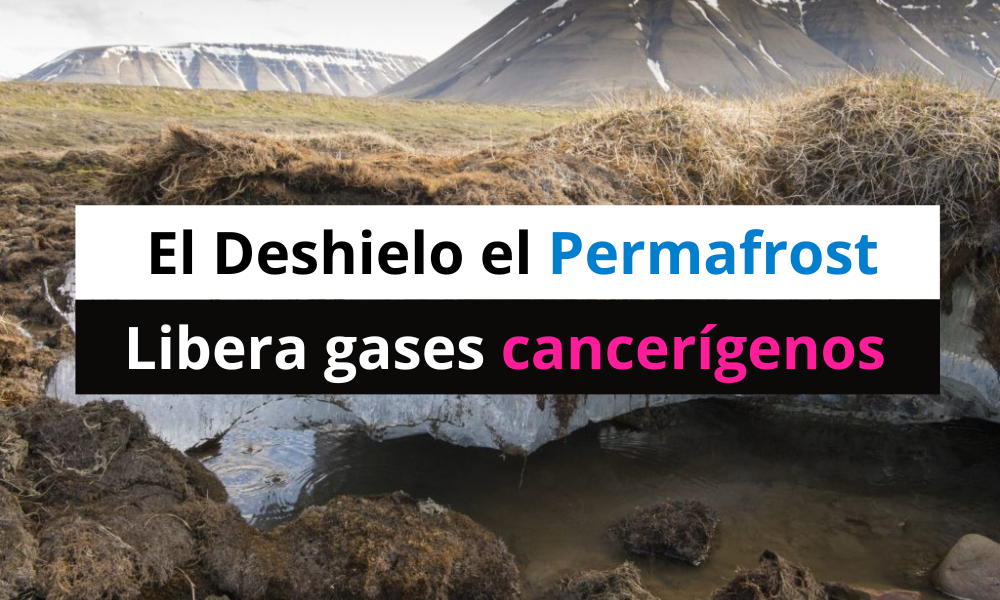 Deshielo el Permafrost libera gases cancerígenos