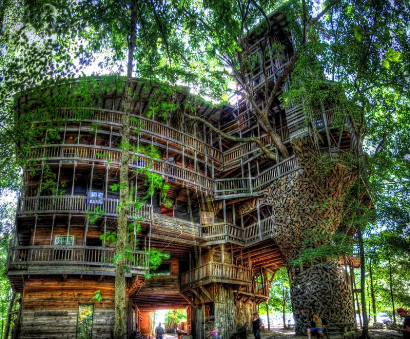 La casa en el árbol más grande del mundo