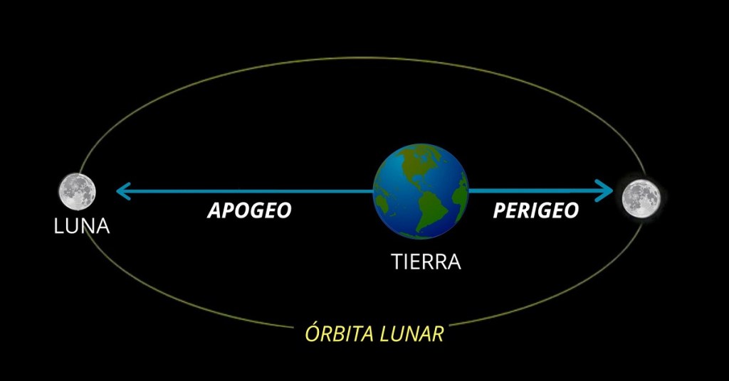 orbita de la luna