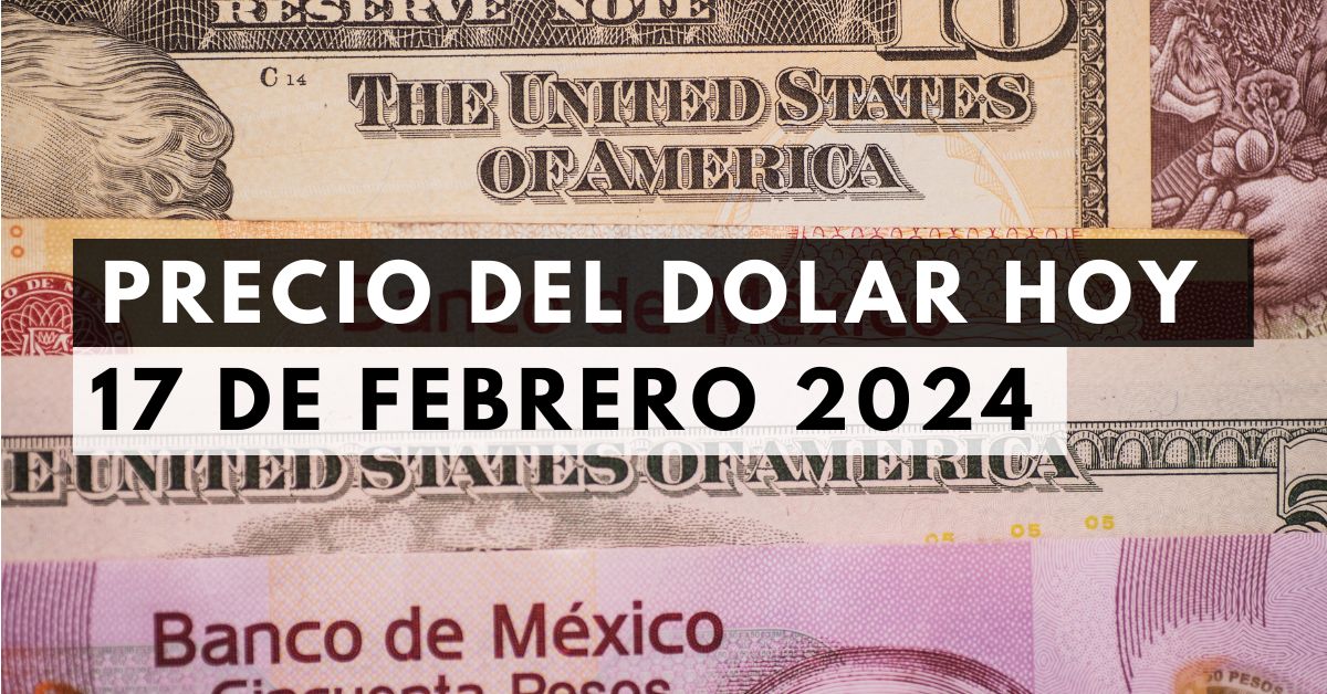 Precio del dólar: Tipo de cambio hoy 17 de febrero de 2024 1 Precio del dólar: Tipo de cambio hoy 17 de febrero de 2024