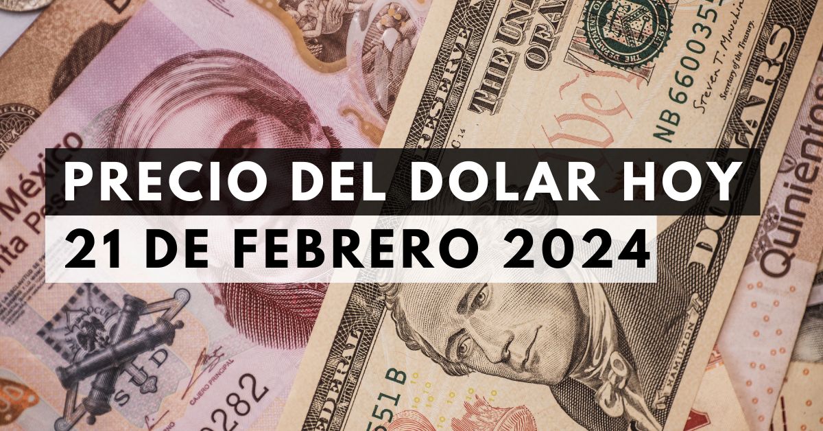 Precio del dólar: Tipo de cambio hoy 21 de febrero de 2024 1 Precio del dólar: Tipo de cambio hoy 21 de febrero de 2024