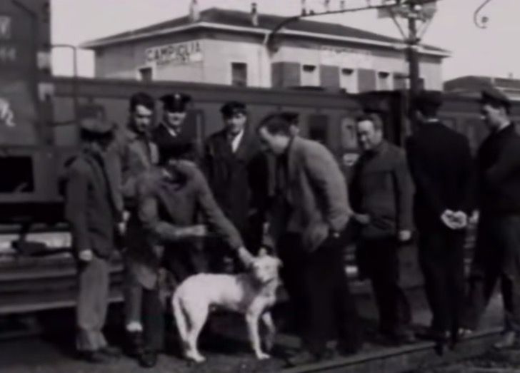 Lampo: The Dog Who Learned to Travel by Train and Crossed All of Italy