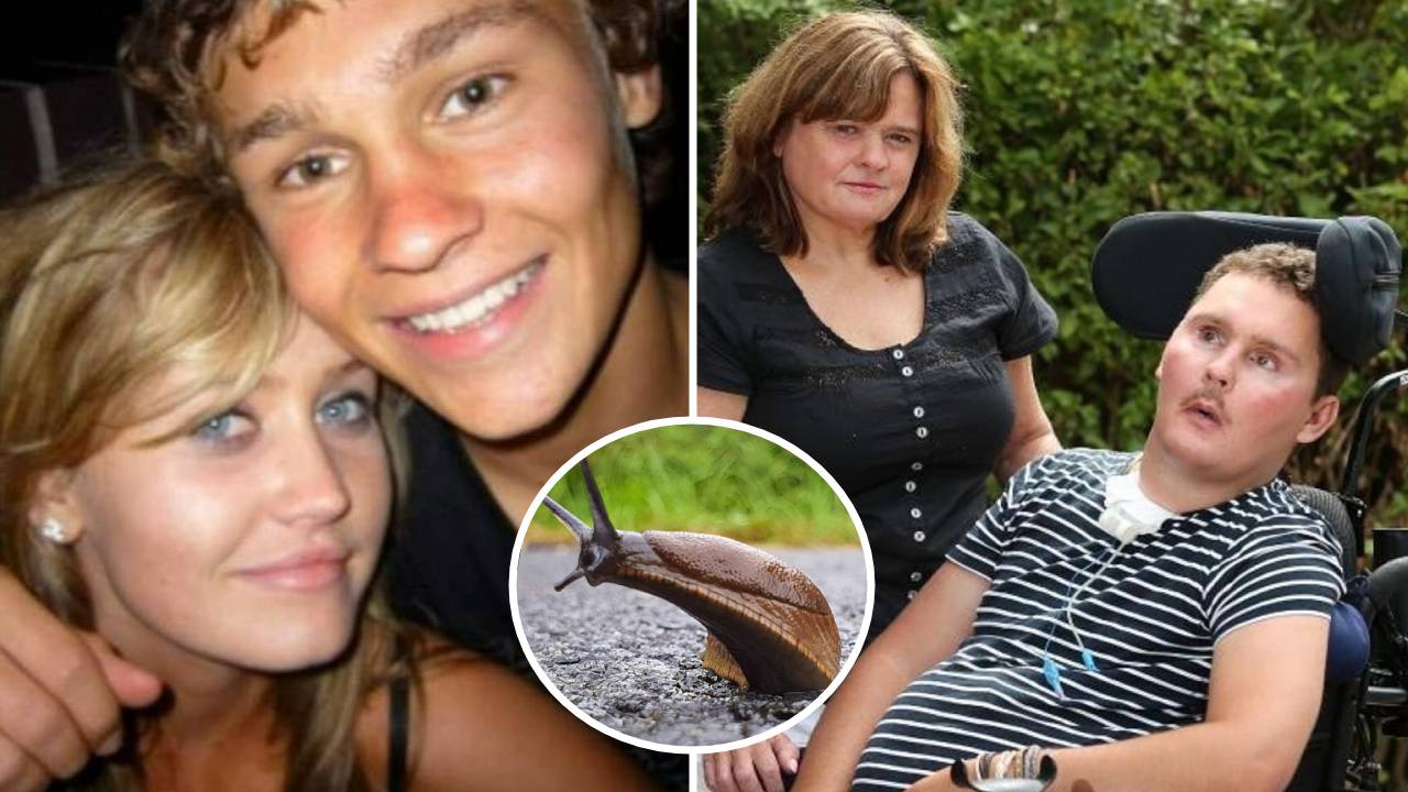 Consecuencias de comer una babosa: un hombre fallece después de 8 años de estar tetrapléjico