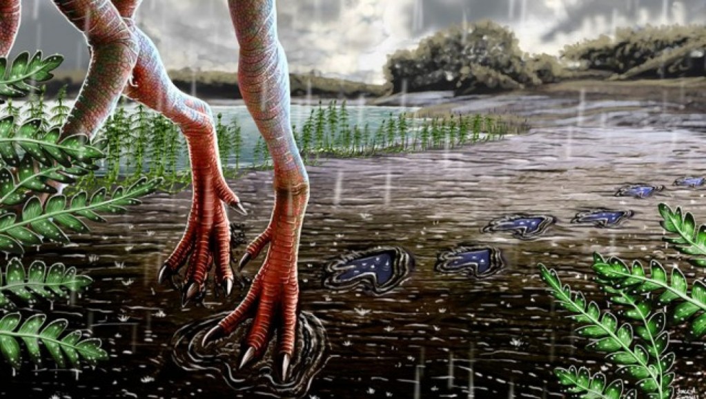 evento Pluvial Carniano y su papel en la vida en la tierra