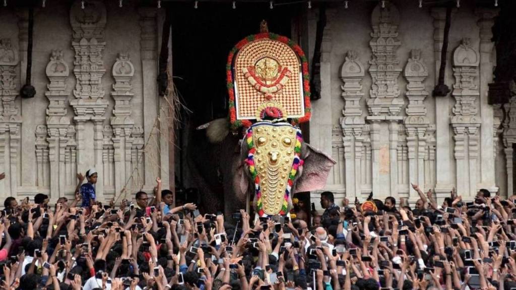 Thechikottukavu Ramachandran: El elefante gigante y asesino de la India 10 Thechikottukavu Ramachandran: El elefante gigante y asesino de la India