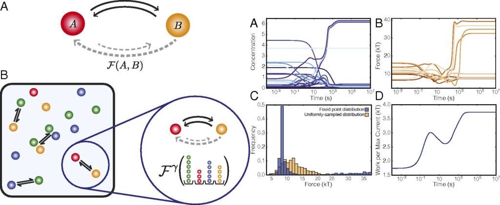La Entropía podría haber dado origen a la vida según una nueva idea científica