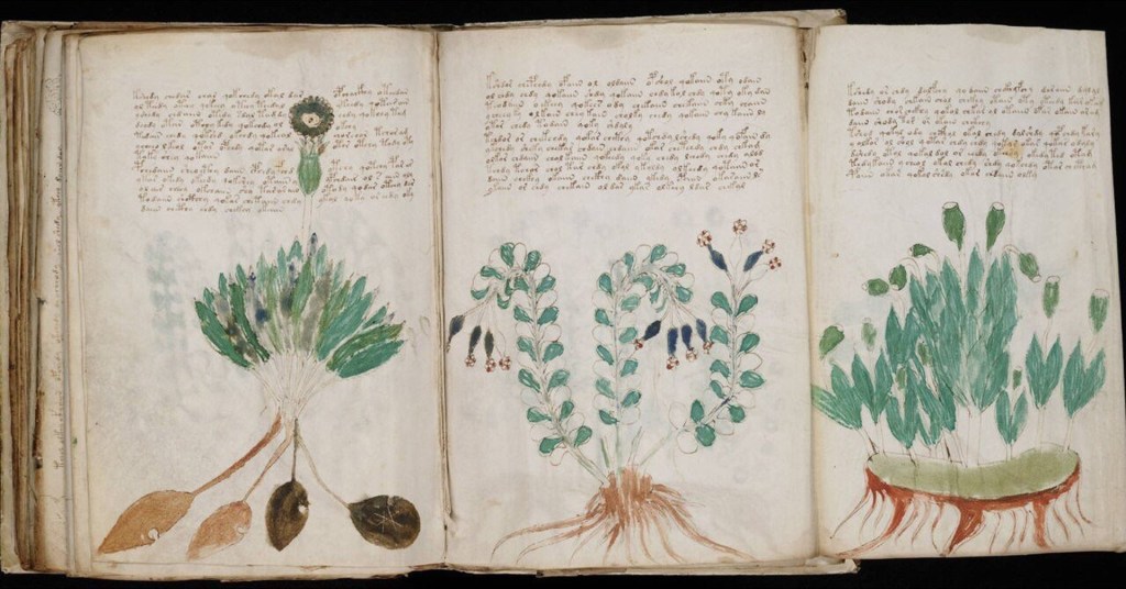 El Manuscrito Voynich, el libro más misterioso del mundo que lleva casi seis siglos sin ser descifrado