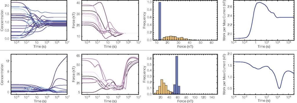 La Entropía podría haber dado origen a la vida según una nueva idea científica