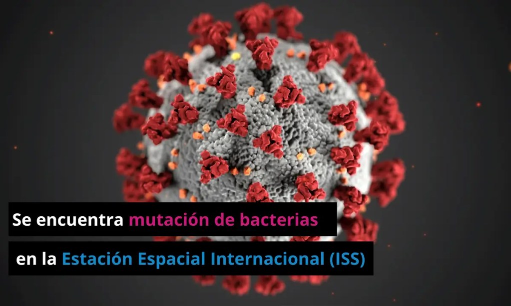 Se descubre mutación de bacterias en la Estación Espacial Internacional