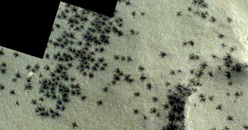 arañas en marte,arañas - arañas en marte