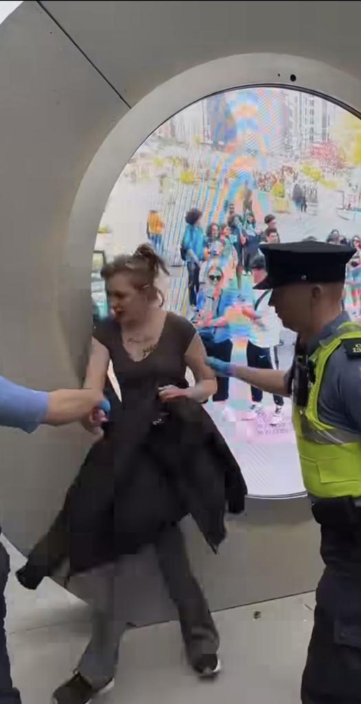 Instalan un Portal que conecta Nueva York con Dublín y saca a relucir lo peor de las personas…