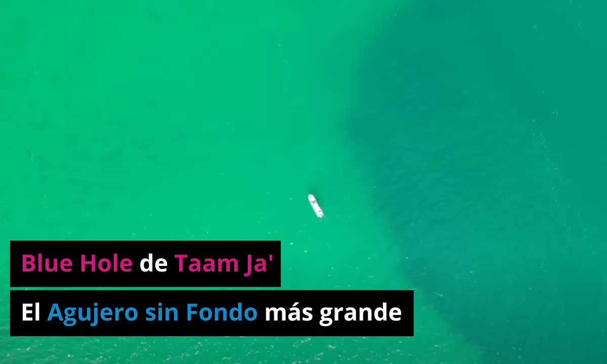 Descubre el Misterio del Agujero Sin Fondo Cerca del Cráter que Acabó con los Dinosaurios