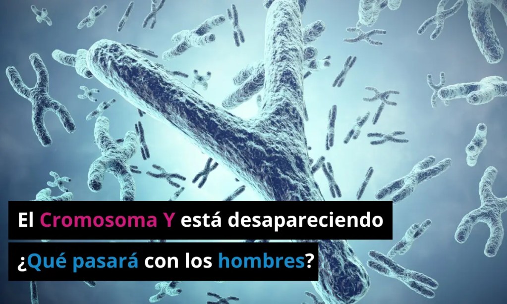 El Cromosoma Y está desapareciendo