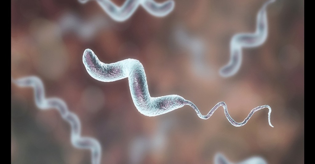 lavar el pollo antes de cocinarlo