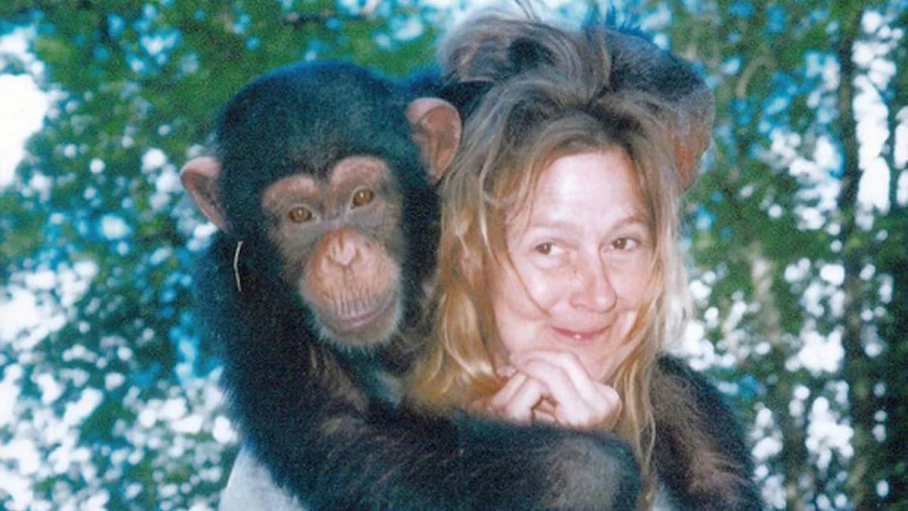 Travis, el chimpancé que le arrancó la cara a Charla Nash