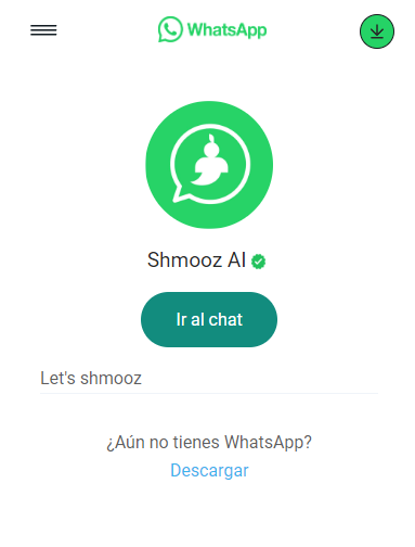 7 - Shmooz Ai