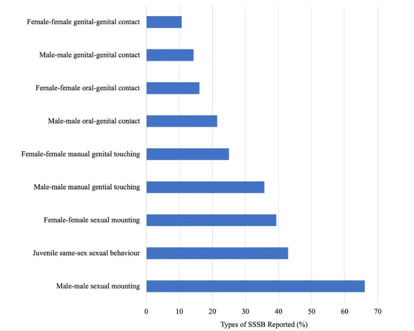 Actividad sexual entre animales de la misma especie