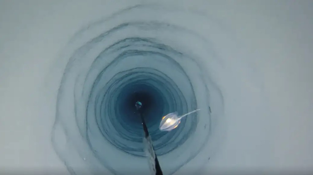 Nuevas formas de vida debajo de la Antártida rompen las reglas que conocemos sobre la vida