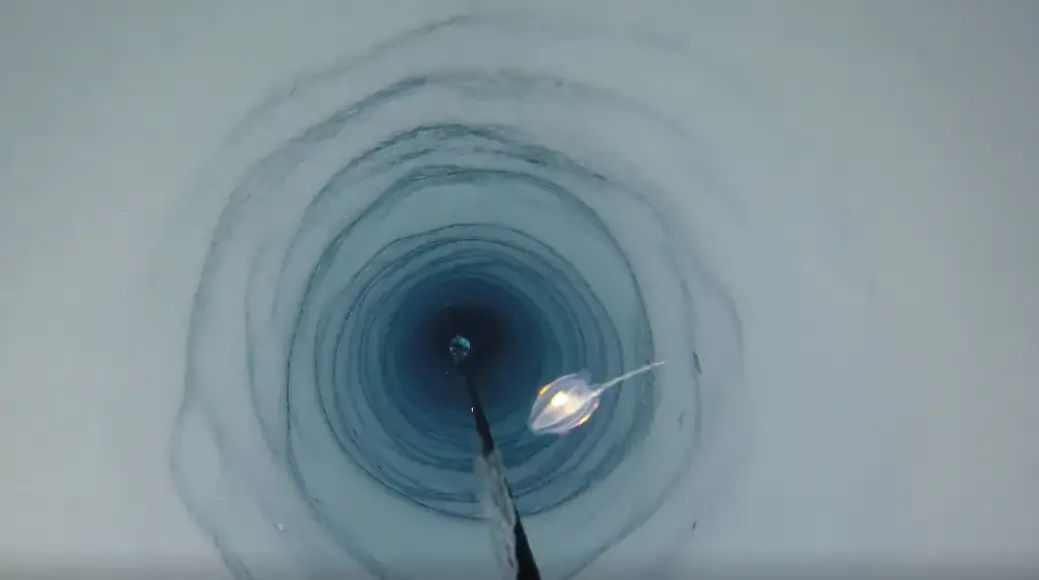 Nuevas formas de vida debajo de la Antártida rompen las reglas que conocemos sobre la vida