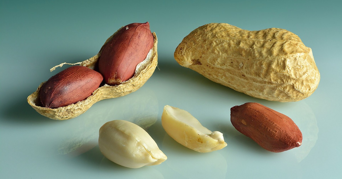 Cacahuates japoneses: Una historia que se desarrolló en México 2 cacahuates japoneses