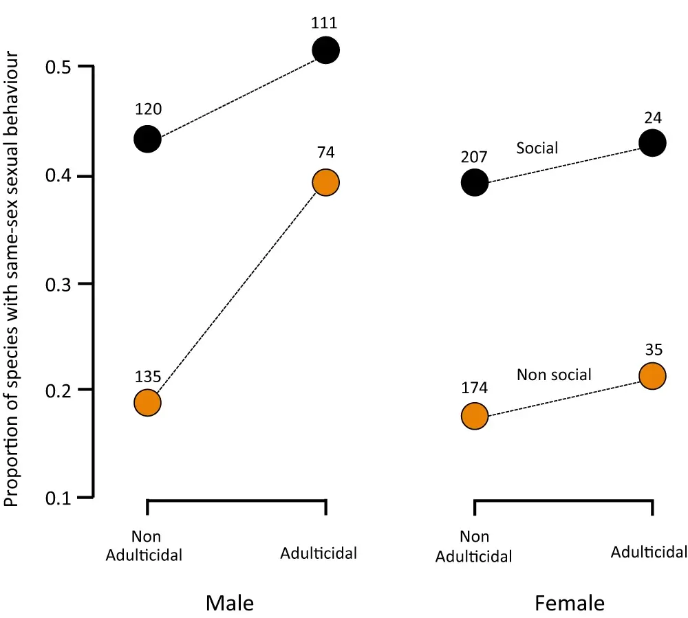 factores que afectan la evolución del comportamiento homosexual en animales