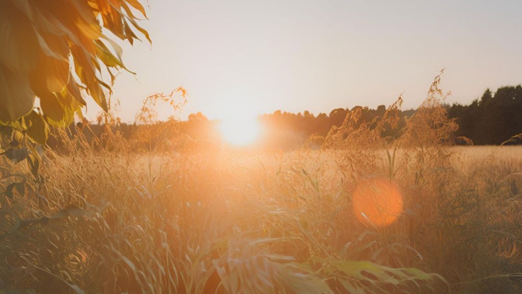 El Solsticio de Verano: El día más largo del año en el Hemisferio Norte 3 El Solsticio de Verano: El día más largo del año en el Hemisferio Norte