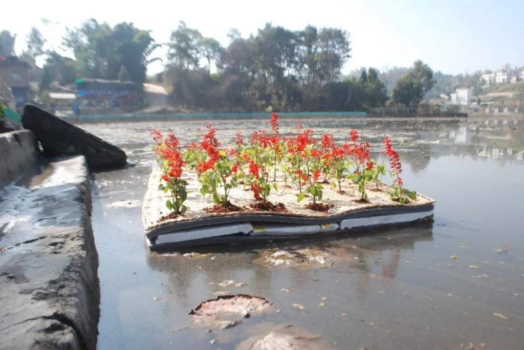 Limpieza de lagos contaminados con humedales flotantes fabricados con basura