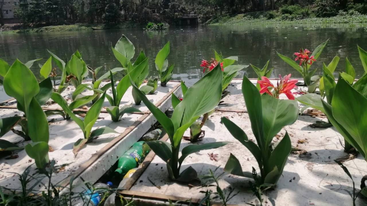 Limpieza de lagos contaminados con humedales flotantes fabricados con basura