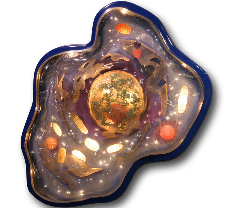 El primer ancestro complejo de toda la vida en la Tierra al descubierto