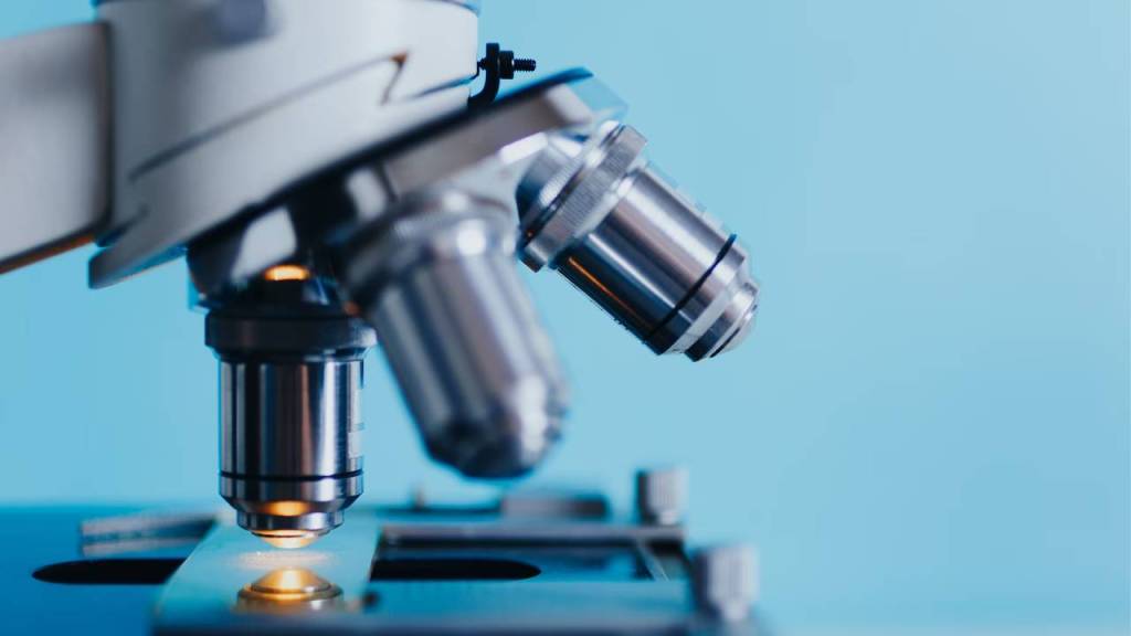 Descubren un virus vampiro en Estados Unidos