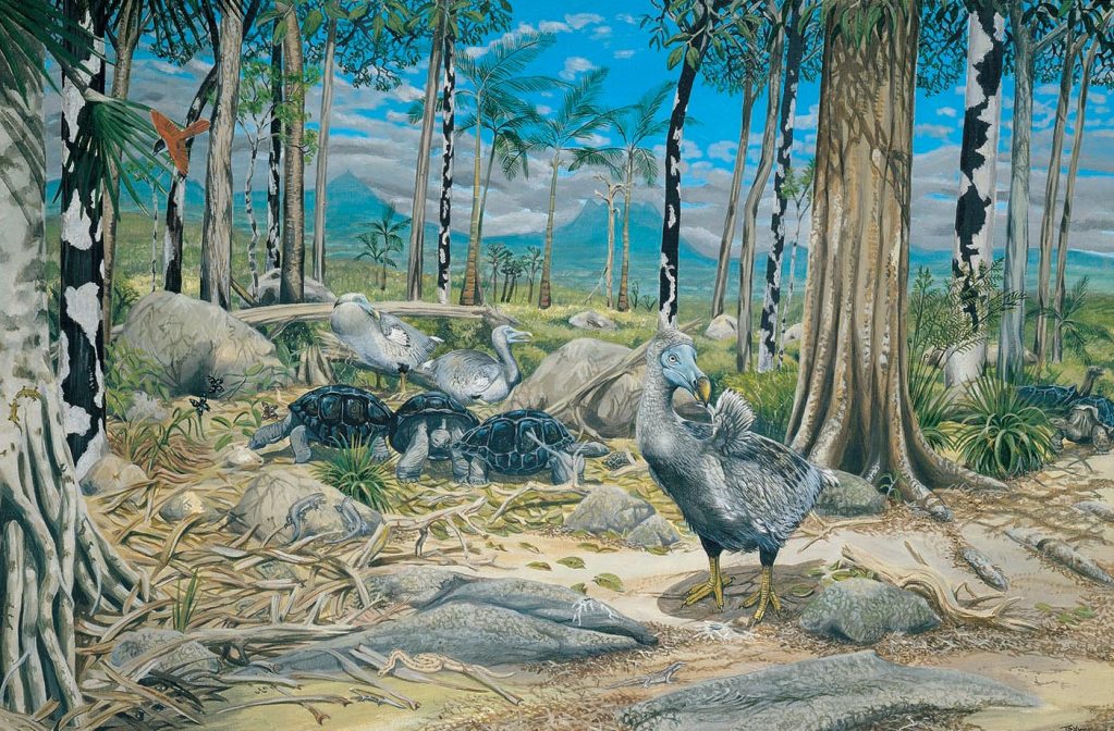 El dodo no era como creíamos: 400 de investigación estaban equivocados