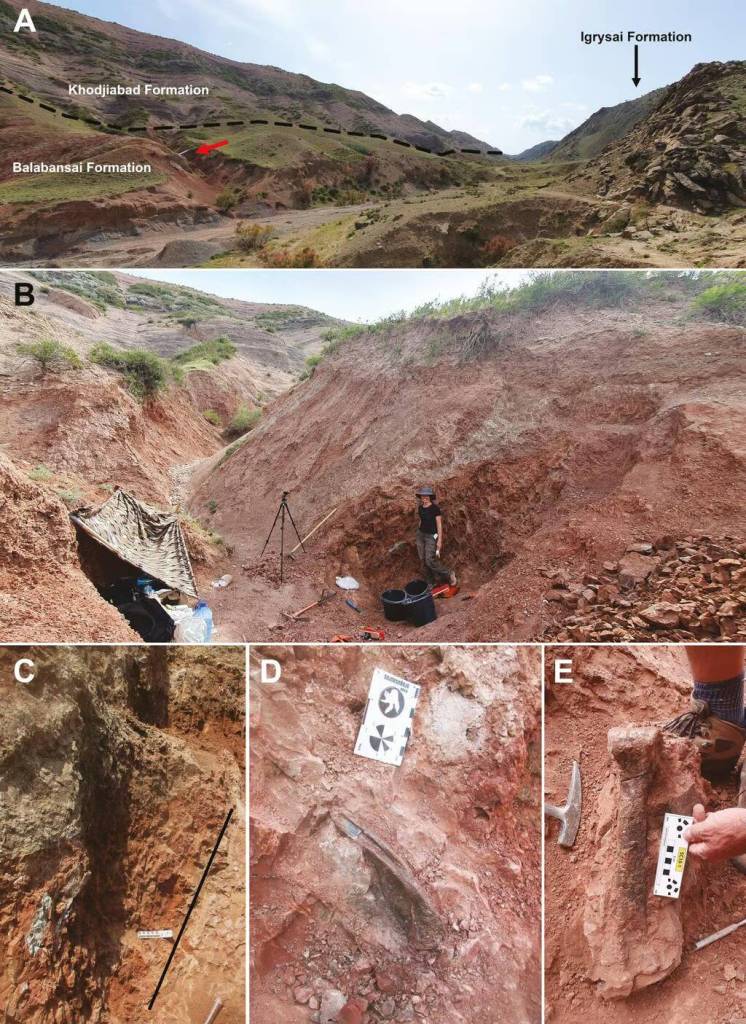 Nuevo tipo de dinosaurio descubierto en Kirguistán llena un vacío prehistórico