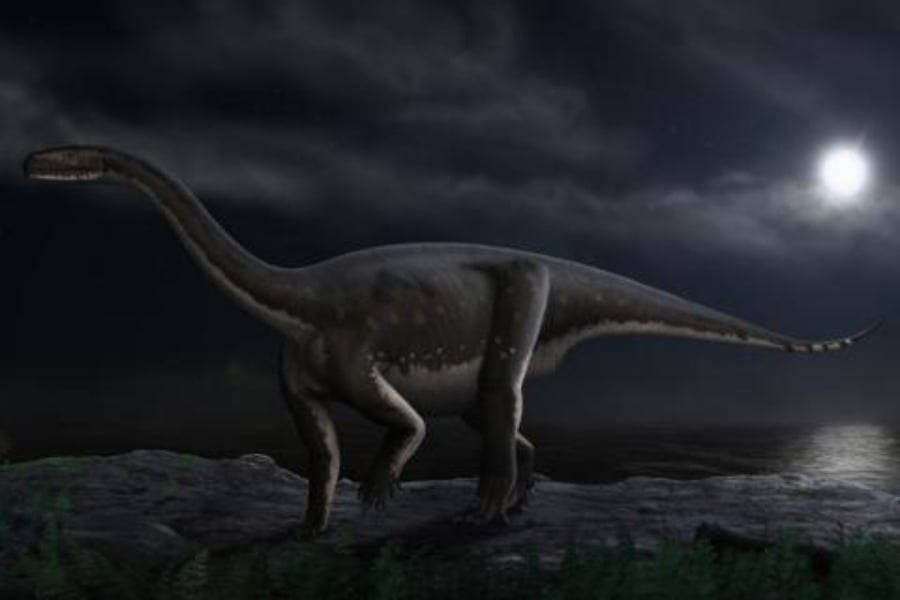 Una niña descubre huellas de dinosaurio de 200 millones de años durante un paseo por la playa