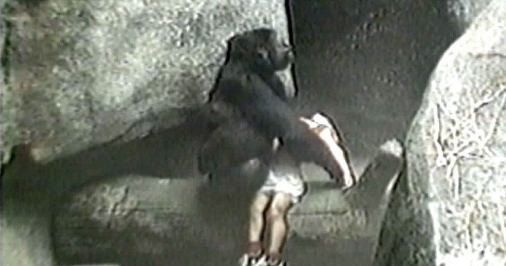 Binti Jua: La historia de la gorila que salvó a un niño