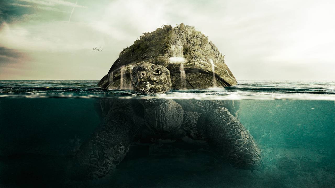Encuentran una tortuga gigante del tamaño de un rinoceronte en España: la más grande de la historia