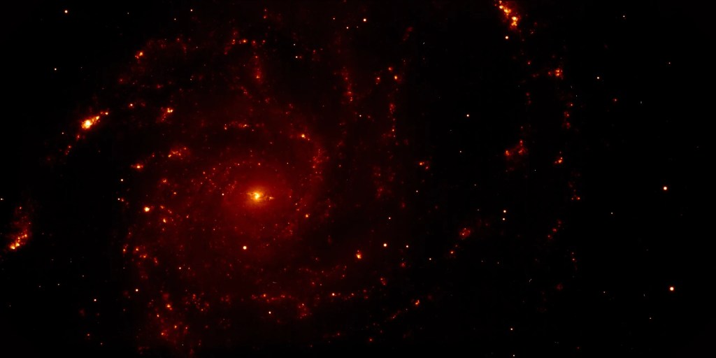 La hipótesis del Bosque Oscuro: La razón por la que no hemos encontrado extraterrestres y por qué está aterrorizando a internet