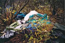 Timothy Treadwell: La historia del hombre que susurraba a los osos pardos