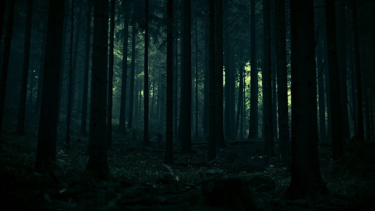 La hipótesis del Bosque Oscuro: La razón por la que no hemos encontrado extraterrestres y por qué está aterrorizando a internet