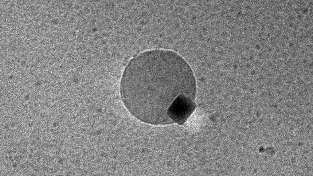 Impresionante video muestra la fusión de hidrógeno y oxígeno para crear agua a escala nanométrica