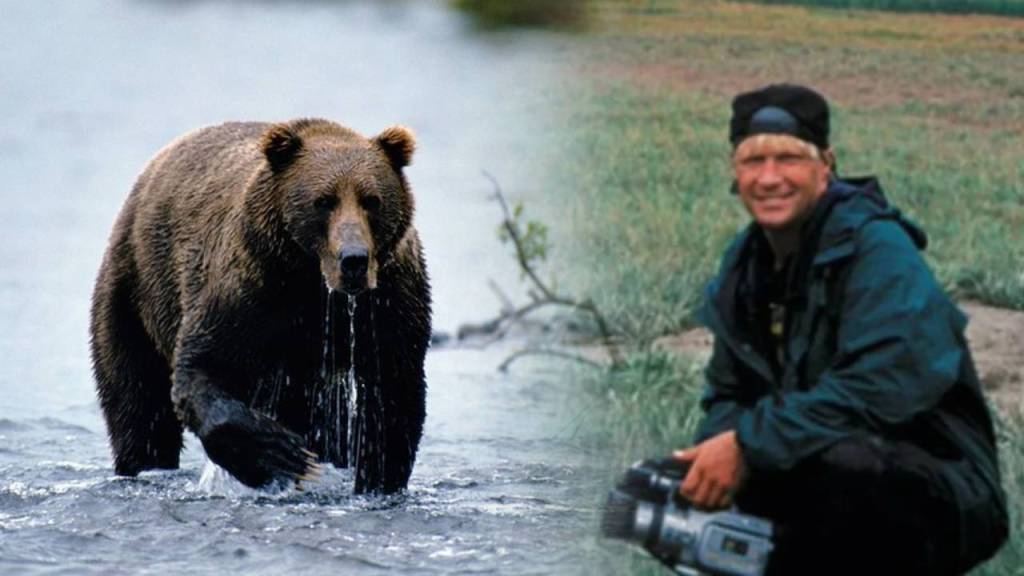 Timothy Treadwell: La historia del hombre que susurraba a los osos pardos
