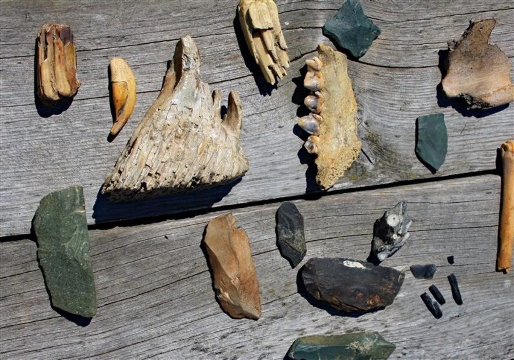 El humano tuvo relaciones con al menos tres poblaciones distintas de denisovanos