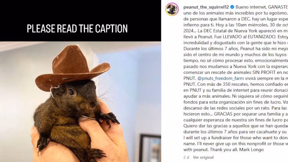 Sacrificio de Peanut, la ardilla de Instagram, indigna a todo internet y atacan a las autoridades de Nueva York