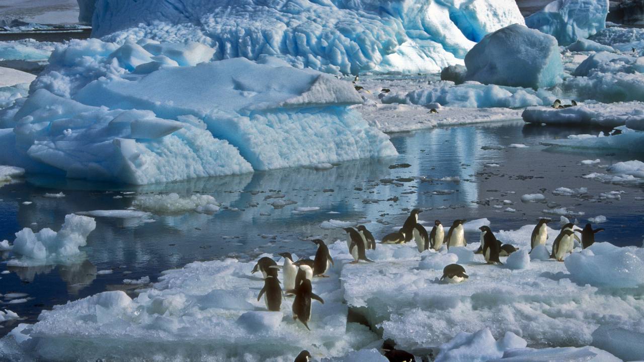 Casi 500 científicos emiten una señal de emergencia en la Antártida