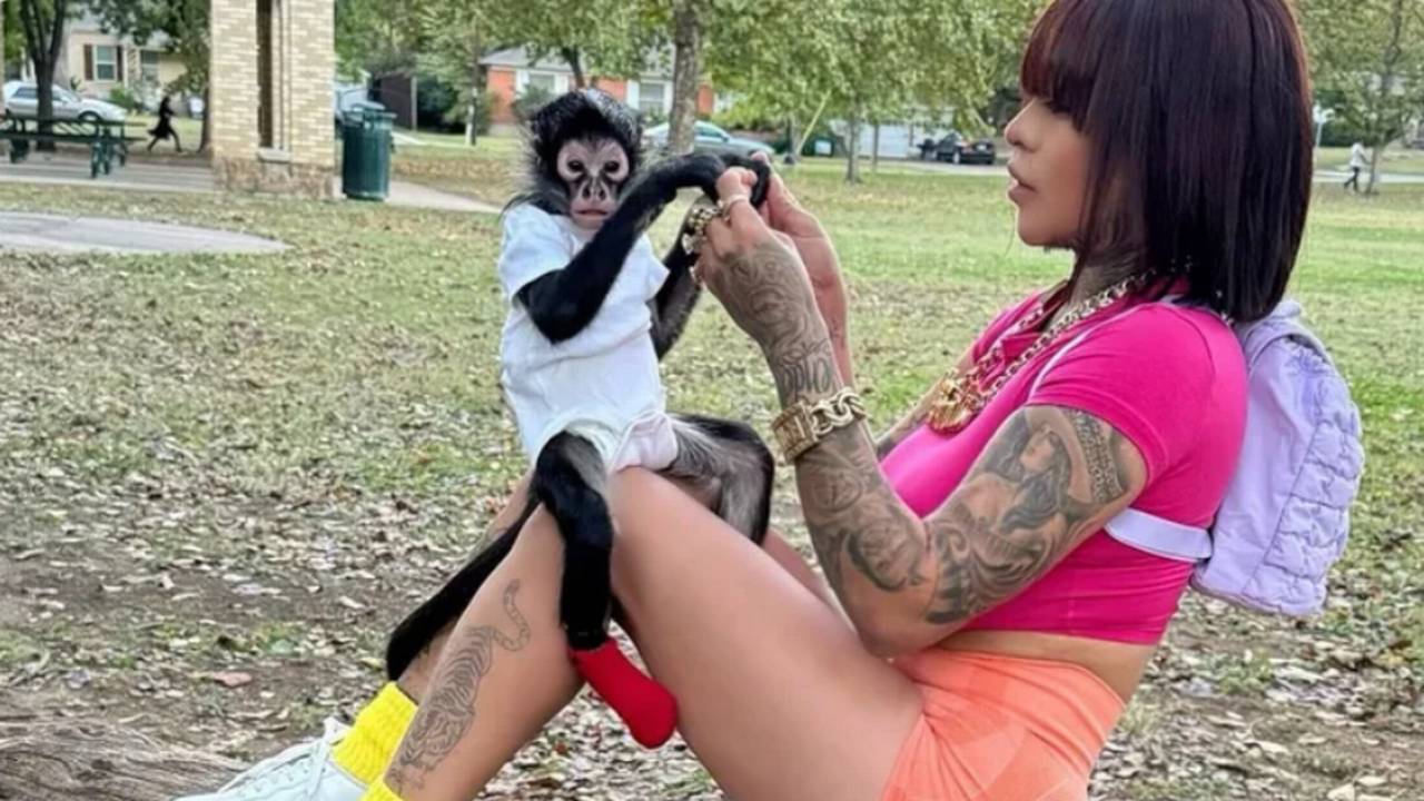 Otro caso: Influencer de Texas lucha por recuperar a su mono araña